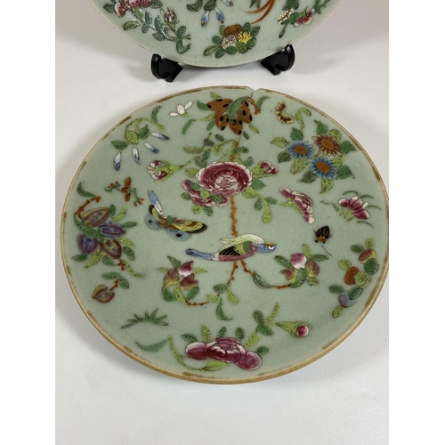 382 - A PAIR OF 19TH CENTURY QING CHINESE CELADON GROUND BIRD AND FLORAL DESIGN PLATES, DIAMETER 18CM