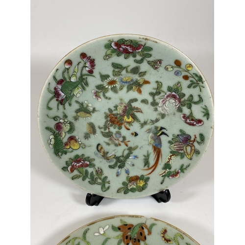 382 - A PAIR OF 19TH CENTURY QING CHINESE CELADON GROUND BIRD AND FLORAL DESIGN PLATES, DIAMETER 18CM