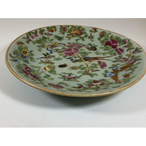 390 - A 19TH CENTURY QING CHINESE CELADON BIRD AND FLORAL PORCELAIN CHARGER PLATE, DIAMETER 24CM