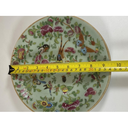 390 - A 19TH CENTURY QING CHINESE CELADON BIRD AND FLORAL PORCELAIN CHARGER PLATE, DIAMETER 24CM