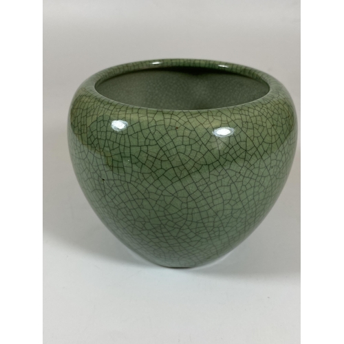 402 - A CHINESE CELADON CRACKLE GLAZE PORCELAIN POT / VASE, HEIGHT 9.5CM