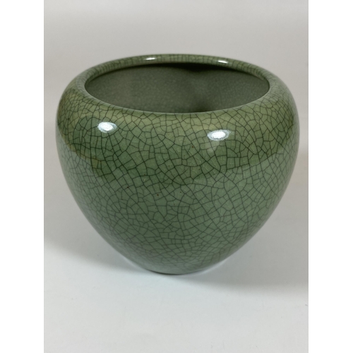 402 - A CHINESE CELADON CRACKLE GLAZE PORCELAIN POT / VASE, HEIGHT 9.5CM