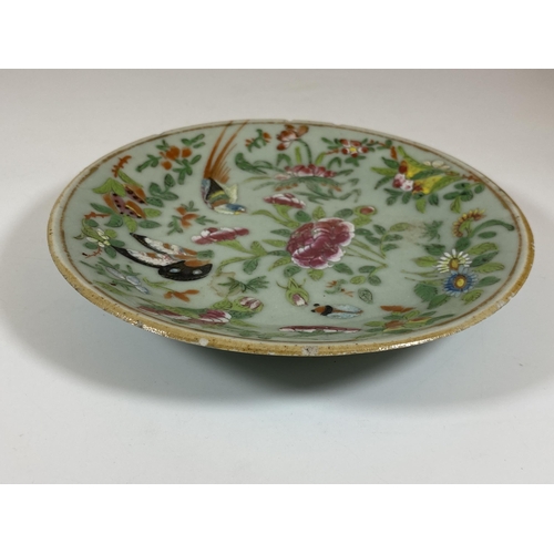 403 - A 19TH CENTURY QING CHINESE CELADON BIRD AND FLORAL PORCELAIN PLATE, DIAMETER 18CM