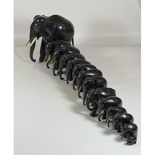 466 - A SET OF FOURTEEN ANTIQUE EBONISED / EBONY ELEPHANTS, LARGEST 16CM, SMALLEST 2CM