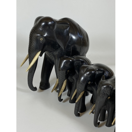 466 - A SET OF FOURTEEN ANTIQUE EBONISED / EBONY ELEPHANTS, LARGEST 16CM, SMALLEST 2CM