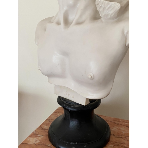 3 - AN ITALIAN MARBLE EFFECT RESIN BUST OF DAVID, HEIGHT 52CM