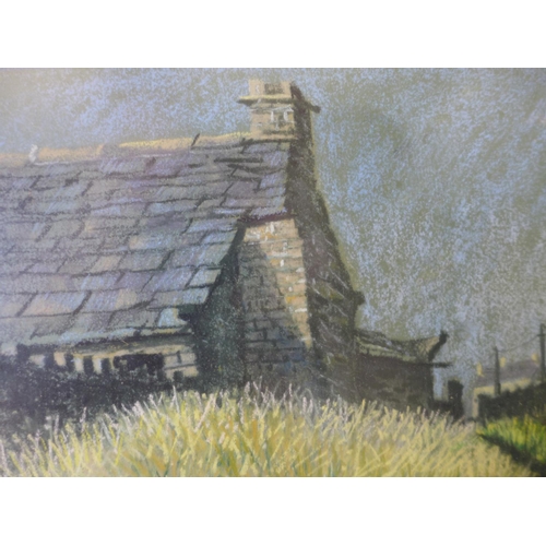 306 - DAVID EDWARDS (BRITISH 20TH CENTURY) STORE HOUOSE BY A LANE, PASTEL, SIGNED AND DATED 81, 27X36CM, F... 