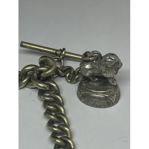 592 - A DOUBLE ALBERT WATCH CHAIN WITH FOB