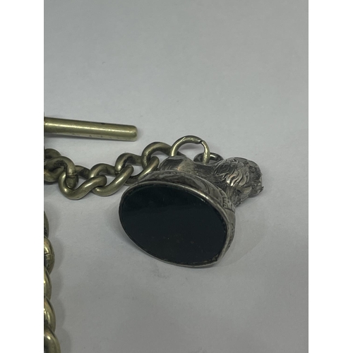 592 - A DOUBLE ALBERT WATCH CHAIN WITH FOB