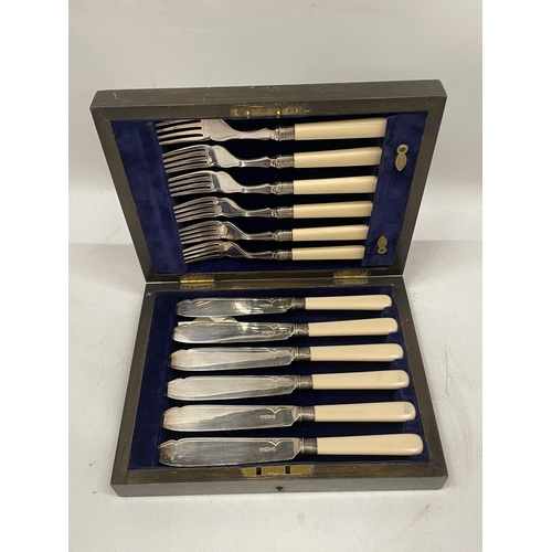 51 - AN OAK CASED CANTEEN OF CUTLERY WITH SHEFFIELD HALLMARKED SILVER COLLARS AND BONE STYLE HANDLES