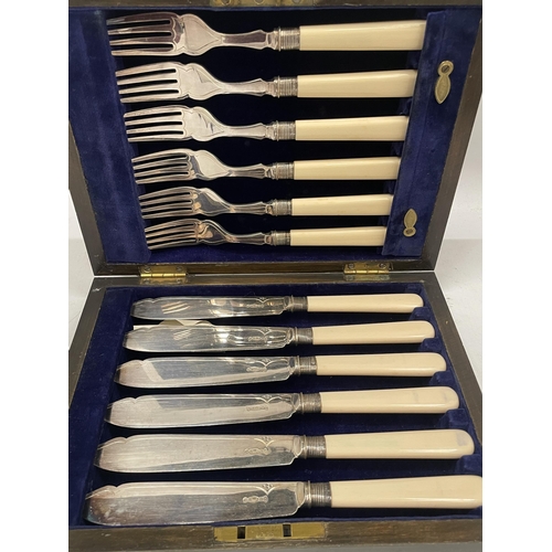 51 - AN OAK CASED CANTEEN OF CUTLERY WITH SHEFFIELD HALLMARKED SILVER COLLARS AND BONE STYLE HANDLES