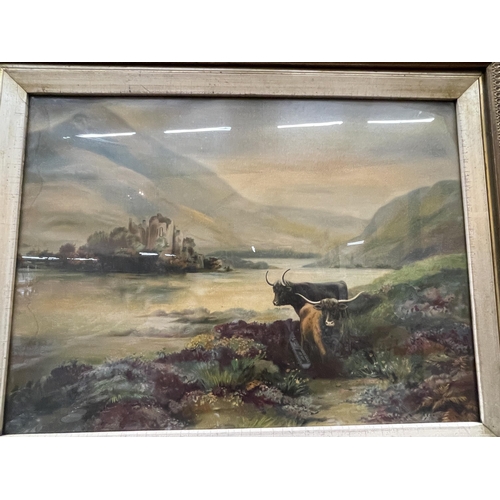 61 - A PAIR OF 19TH CENTURY GILT FRAMED HIGHLAND CATTLE WATERCOLOURS