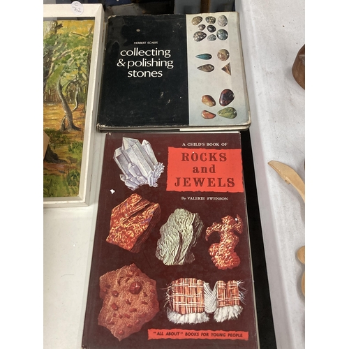 837 - SIX BOOKS ON ROCKS AND JEWELS INCLUDING TWO CARDS OF UNCUT GEMS FROM SRI LANKA