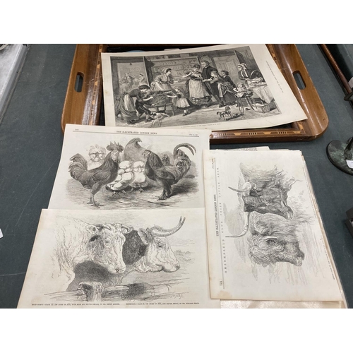 300 - A COLLECTION OF VICTORIAN BLACK AND WHITE ENGRAVINGS