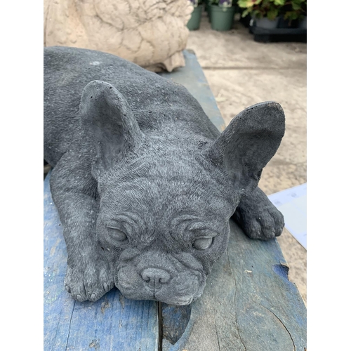 81 - A CONCRETE GARDEN ORNAMENT IN THE FORM OF A FRENCH BULLDOG LYING DOWN NO VAT