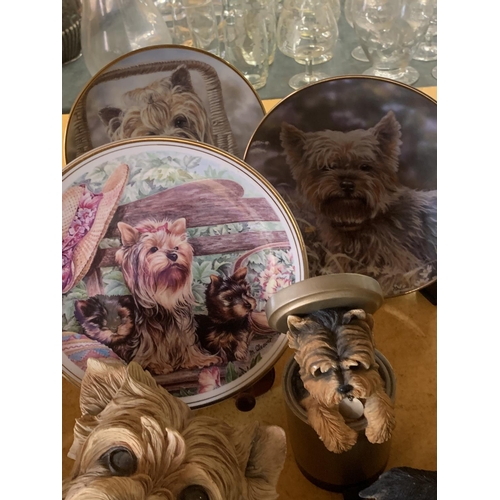 471 - A COLLECTION OF YORKSHIRE TERRIER RELATED ITEMS TO INCLUDE A LARGE FIGURE, CABINET PLATES, MUGS, ETC