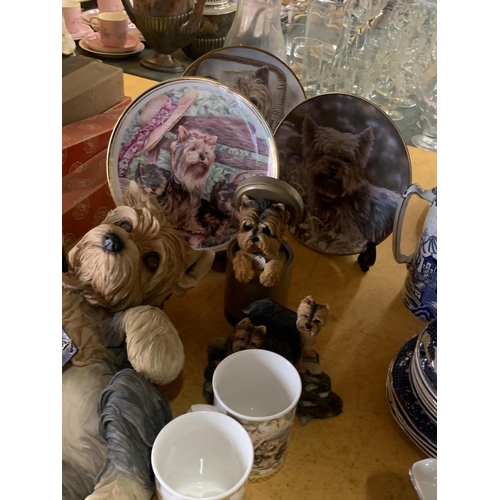 471 - A COLLECTION OF YORKSHIRE TERRIER RELATED ITEMS TO INCLUDE A LARGE FIGURE, CABINET PLATES, MUGS, ETC