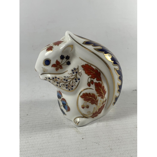 727 - A ROYAL CROWN DERBY SQUIRREL (SECOND)