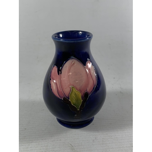 729 - A MOORCROFT VASE PINK MAGNOLIA ON A BLUE BACKGROUND