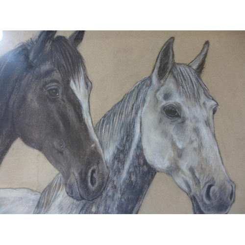 319 - SHEILA EXCELL (BRITISH 20TH CENTURY) STUDY OF THREE HORSES, PASTEL, SIGNED AND DATED 83, 33X50CM, FR... 