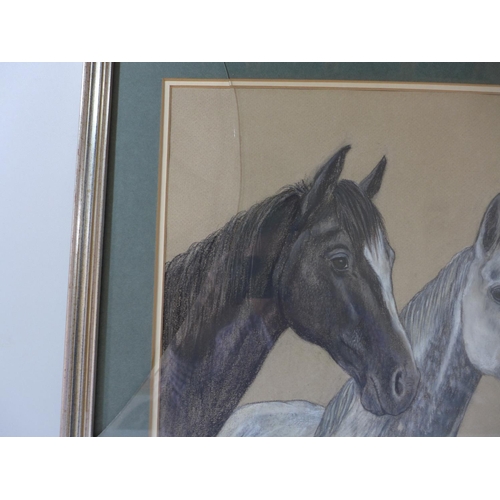 319 - SHEILA EXCELL (BRITISH 20TH CENTURY) STUDY OF THREE HORSES, PASTEL, SIGNED AND DATED 83, 33X50CM, FR... 