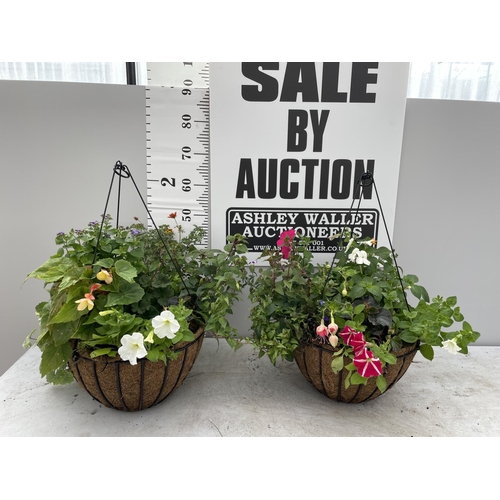 247 - TWO WIRE HANGING BASKETS WITH MIXED BEDDING PLANTS PLUS VAT