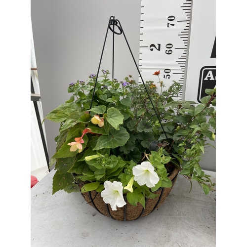 247 - TWO WIRE HANGING BASKETS WITH MIXED BEDDING PLANTS PLUS VAT