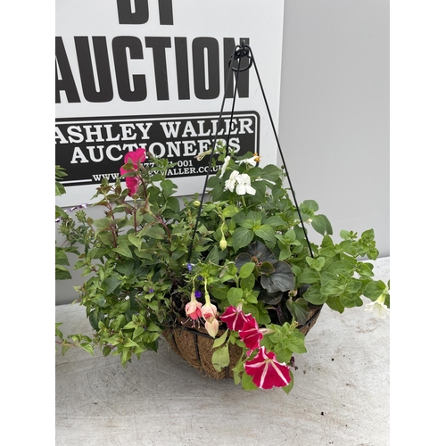 247 - TWO WIRE HANGING BASKETS WITH MIXED BEDDING PLANTS PLUS VAT