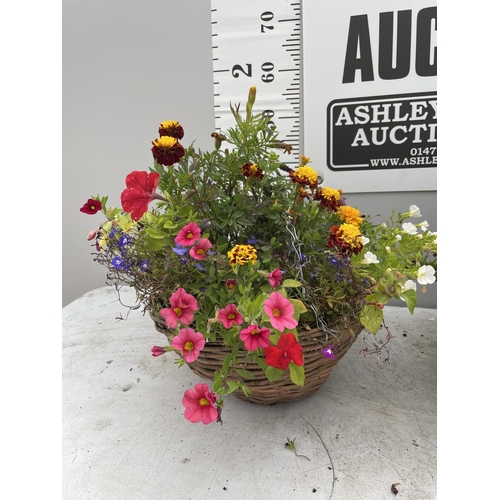 248 - TWO WICKER HANGING BASKETS WITH MIXED BEDDING PLANTS PLUS VAT