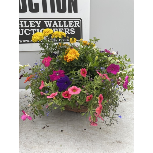 248 - TWO WICKER HANGING BASKETS WITH MIXED BEDDING PLANTS PLUS VAT