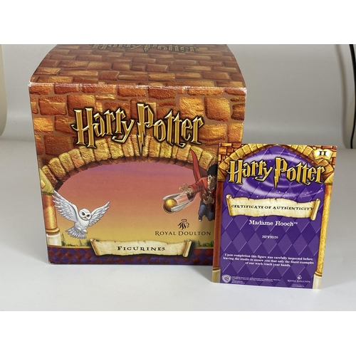 707 - A BOXED ROYAL DOULTON HARRY POTTER MADAMME HOOCH HPFIG20 FIGURE WITH CERTIFICATE