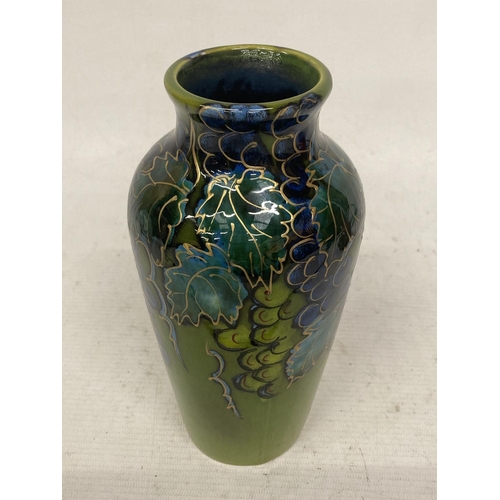 720 - AN ANITA HARRIS HAND PAINTED AND SIGNED IN GOLD VINEYARD VASE