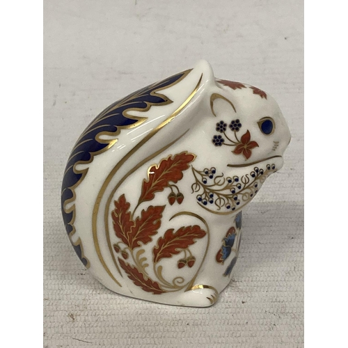 738 - A ROYAL CROWN DERBY SQUIRREL (SECOND)