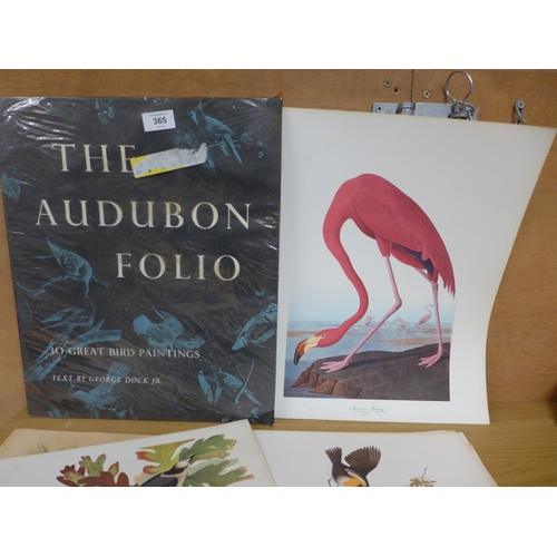 365 - THE AUDUBON FOLIO 'THIRTY GREAT BIRD PAINTINGS' TEXT BY GEORGE DOCK JR, TWENTY SEVEN COLOURED PRINTS... 