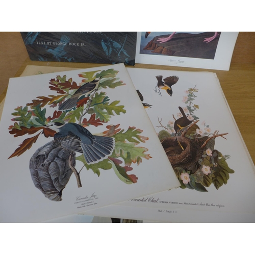 365 - THE AUDUBON FOLIO 'THIRTY GREAT BIRD PAINTINGS' TEXT BY GEORGE DOCK JR, TWENTY SEVEN COLOURED PRINTS... 