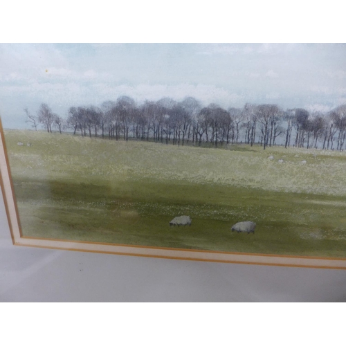 369 - ROSEMARY STUBBS (BRITISH LATE 20TH/EARLY 21ST CENTURY) SHEEP IN A LANDSCAPE, WATERCOLOUR, SIGNED 21C... 