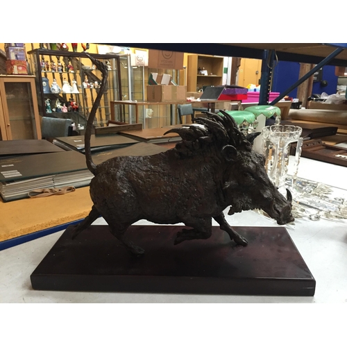 41 - A BRONZE MODEL OF A WARTHOG ON PLINTH BASE