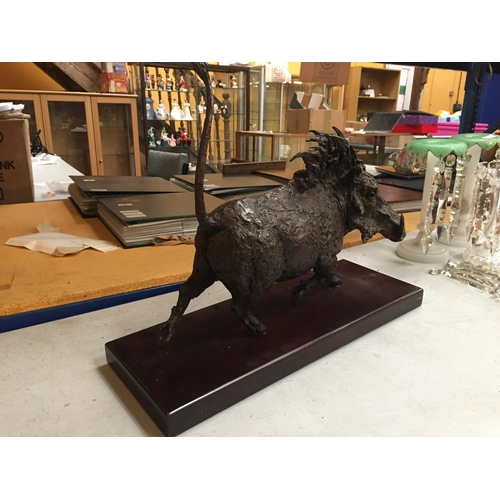 41 - A BRONZE MODEL OF A WARTHOG ON PLINTH BASE