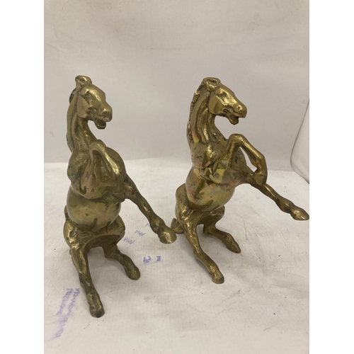 203 - TWO VERY HEAVY BRASS REARING HORSES, HEIGHT 21CM