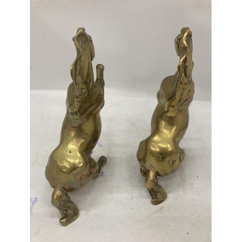 203 - TWO VERY HEAVY BRASS REARING HORSES, HEIGHT 21CM