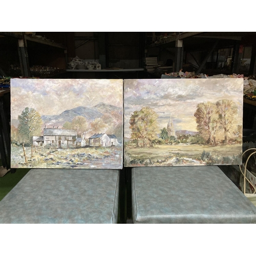 416 - TWO COUNTRY SCENES OILS ON CANVAS