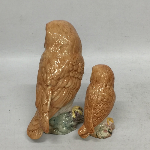 748 - TWO BESWICK OWLS ONE LARGE AND ONE SMALL