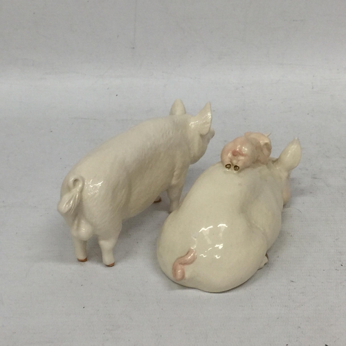 749 - TWO BESWICK PIGS