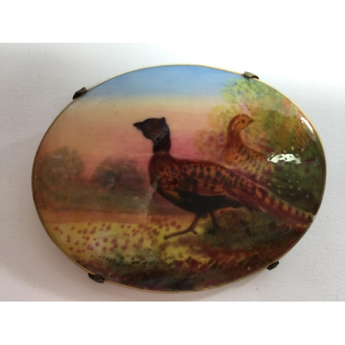 677 - A HANDPAINTED CERAMIC PHEASANT BROOCH