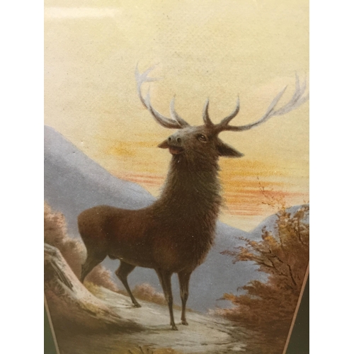 954 - A VINTAGE EBONY STLYE FRAMED HIGHLAND PRINT OF A STAG