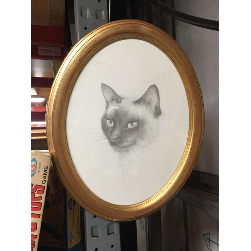 964 - A GILT FRAMED OVAL PENCIL SIGNED CAT PICTURE