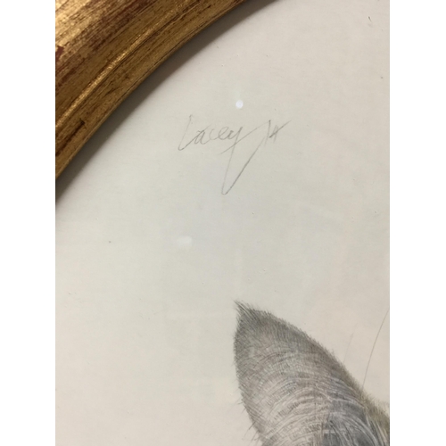 964 - A GILT FRAMED OVAL PENCIL SIGNED CAT PICTURE