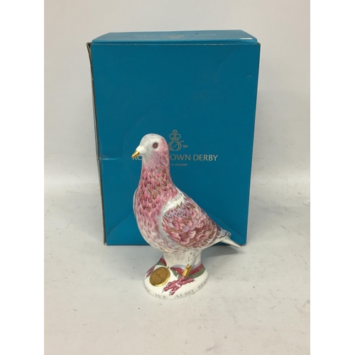 65 - A ROYAL CROWN DERBY BOXED WAR PIGEON LIMITED EDITION PAPER WEIGHT