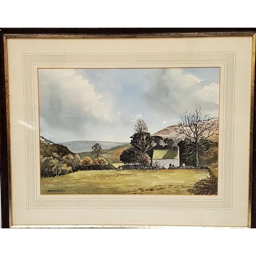 389 - G. WATERS (20TH CENTURY) 'CAPEL-Y-FFIN' WATERCOLOUR SIGNED, 23CM X 33CM, FRAMED AND GLAZED