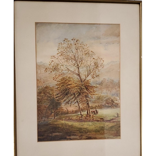 393 - A LATE 19TH CENTURY WATERCOLOUR OF TWO HORSES IN A WOODLAND INDISTINCTLY SIGNED, 37CM X 26CM, FRAMED... 